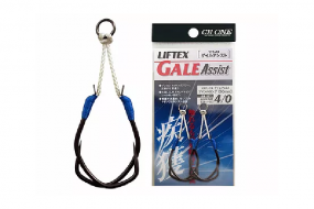 Liftex Gale Assist CB One